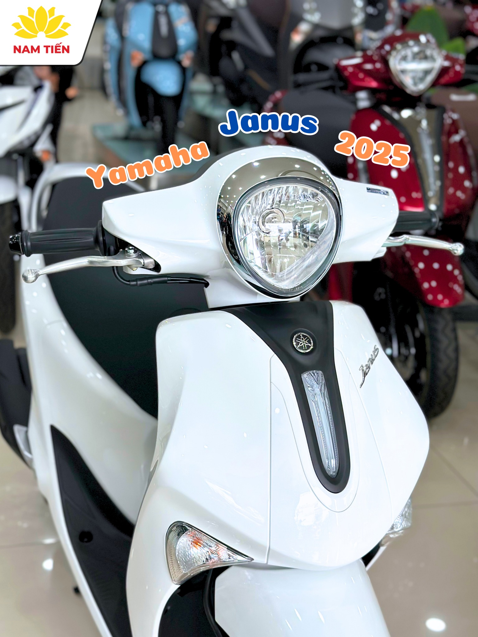 den-xe-janus-2025 